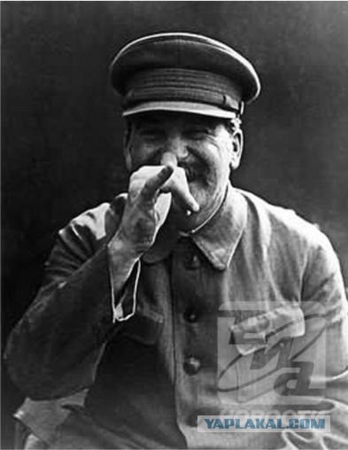 Мнение сотрудника Макдоналдса