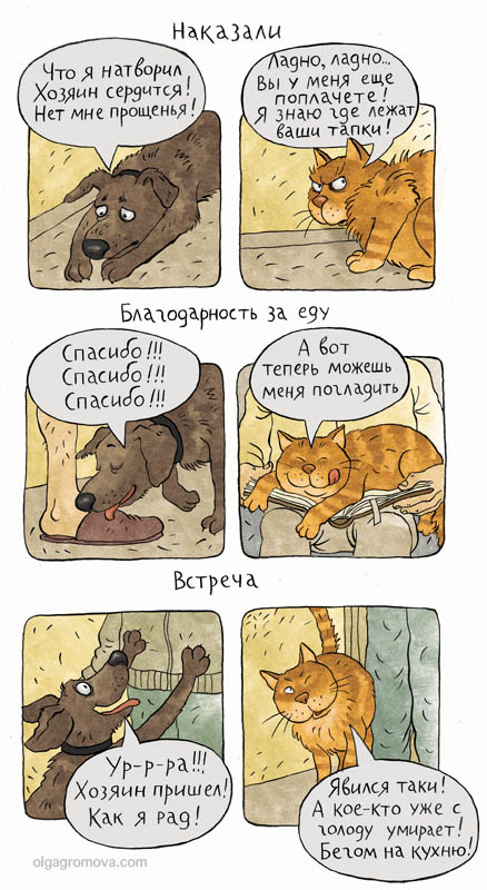 Карикатуры на повседневную жизнь