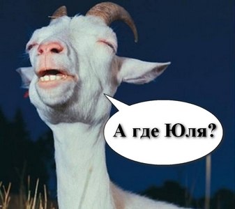 Новые трудовыебудни