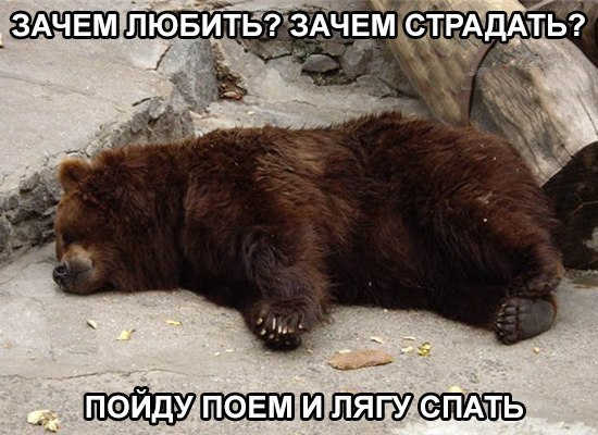 Подборка Картинок из сети