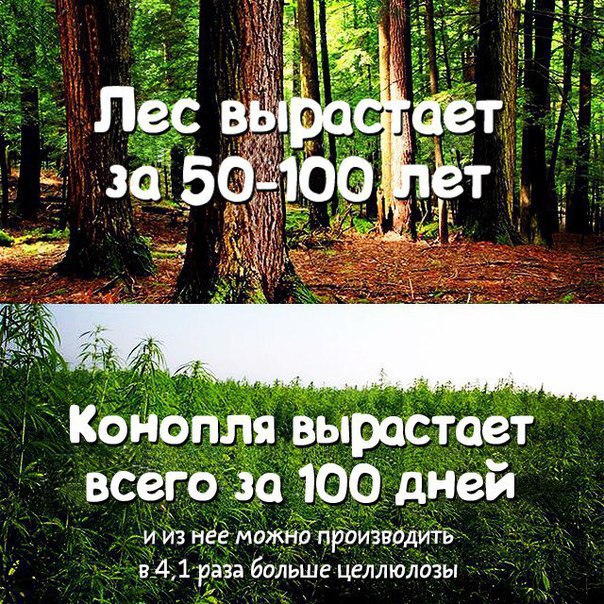 О спайсе и смерти и том как их победить