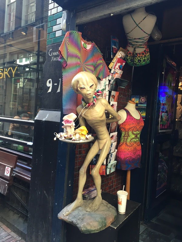 Подборка интересных и веселых картинок