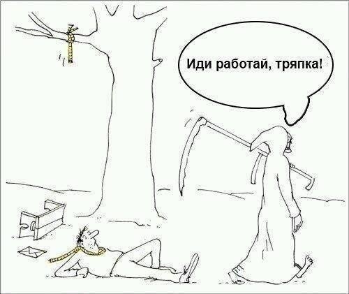 Ассорти картинок из сети