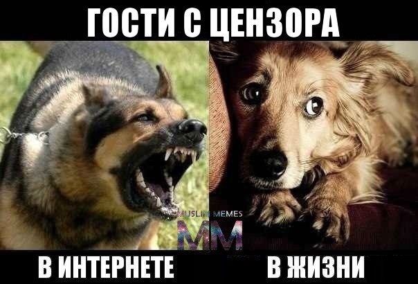 Еврей таки ткнул носом бандеровцев