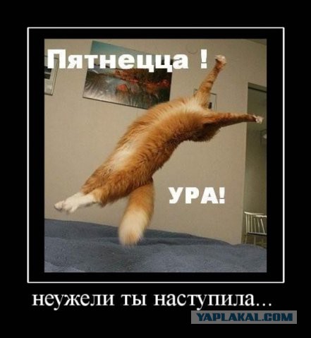 Народные приметы неминуемой войны
