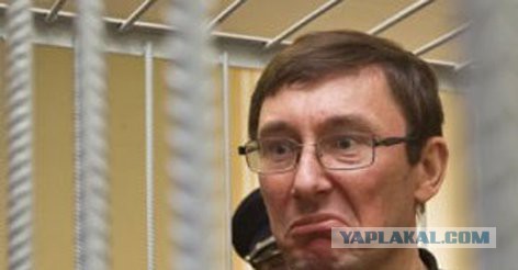 Тысячи человек приняли участие в акциях протеста против Трампа в США