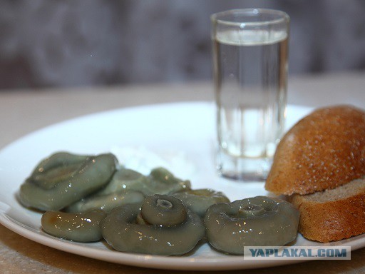 солнечная Индия в пасмурной Сибири