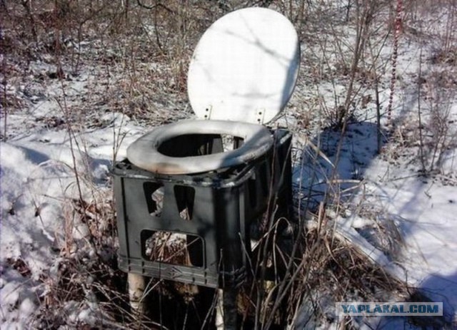 А как вам такое решение для санузла?