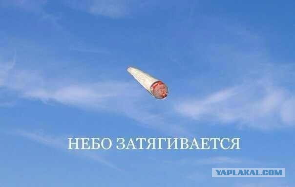 Немного нестандартного юмора в картинках
