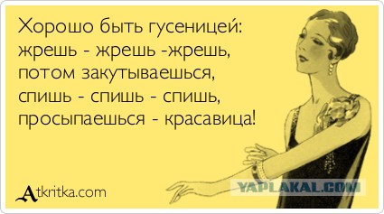 Аппетитно хряпает