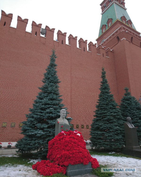 10 тысяч алых цветов возложено к могиле Сталина в Москве