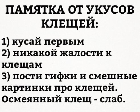 Мама, я - пакет