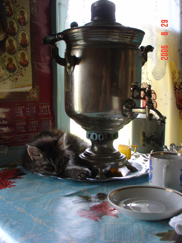 Котомет на вторник (15.04.2008)