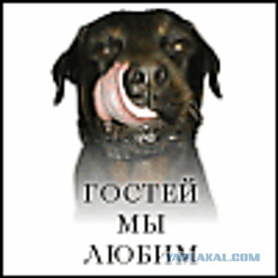 Девушки рассказали об отношениях с иностранными футбольными фанами