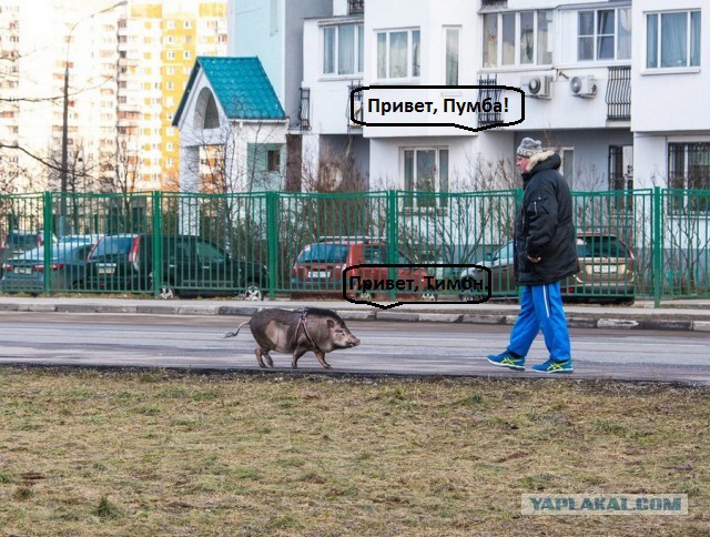 Подборка интересных и веселых картинок