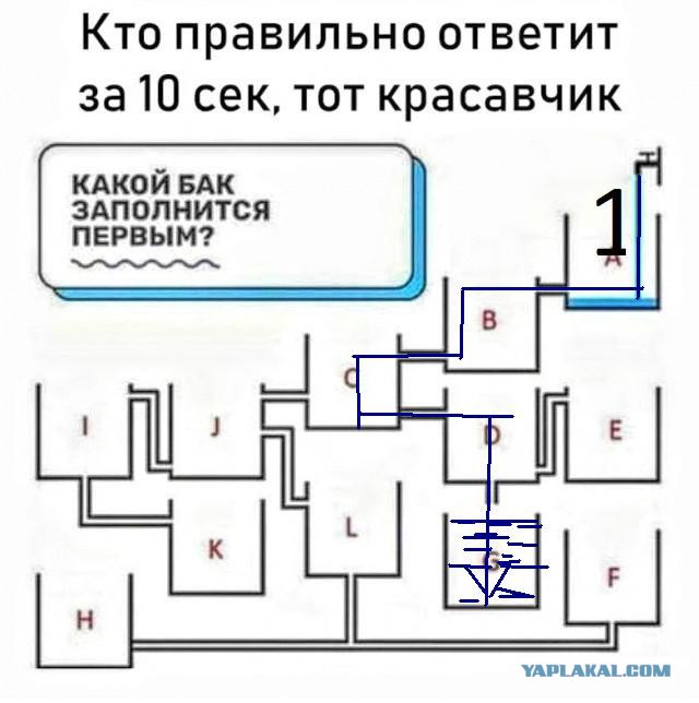 Анекдоты, соц-сети и картинки с надписями