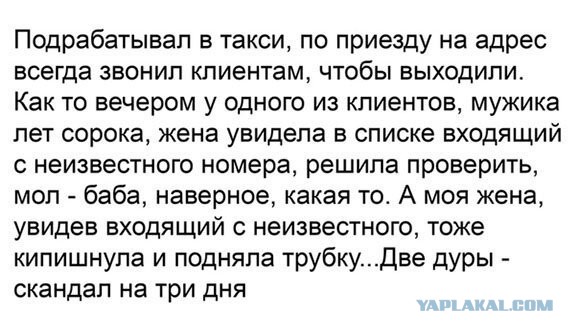 Забавные шутки, картинки и фразы из этих ваших интернетов