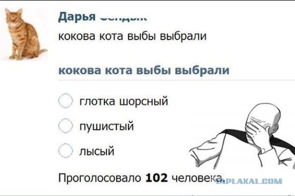 Безграмотные девушки, которых давно нужно было отправить к Гудвину