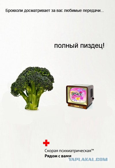 Социальная реклама (4 шт.)
