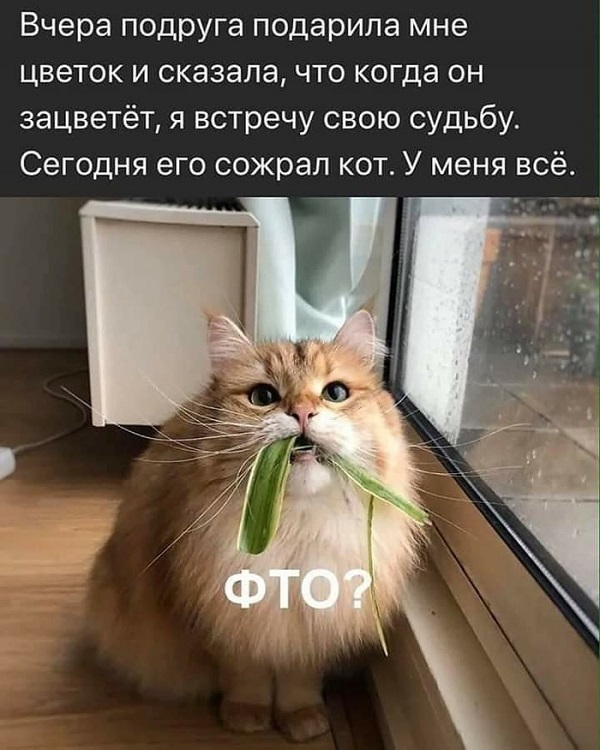 Бредзона 27.02.2020