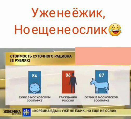 Бредзона 23.04.20