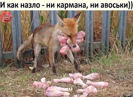 Бредзона 14.05.20