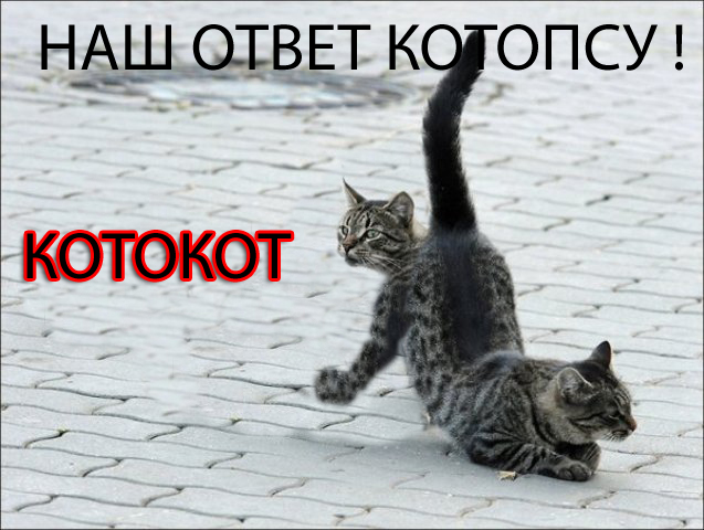 Подпиши фото!