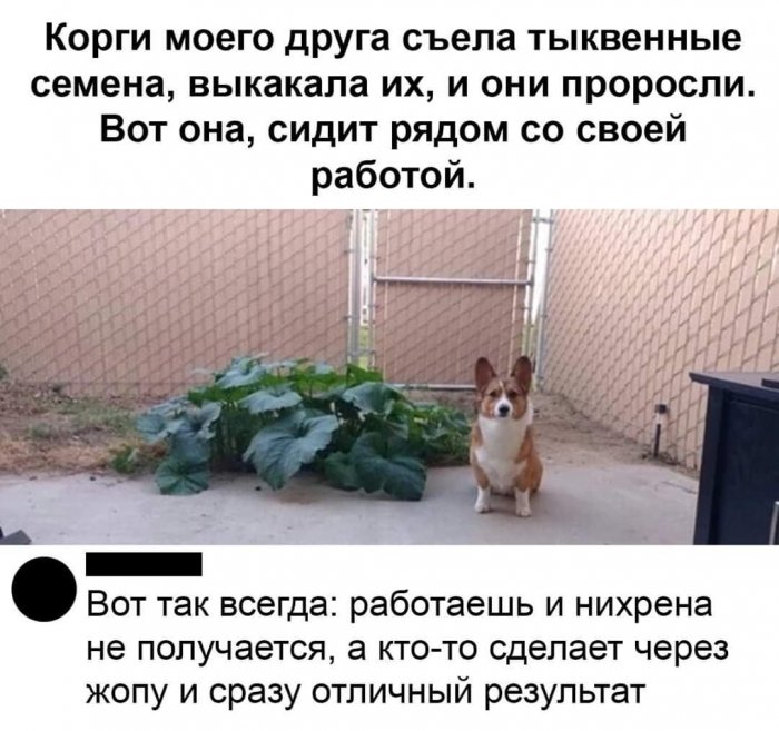 14447325.jpg