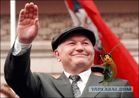Он как бы нам машет?