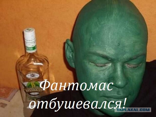 Скотсети и прочие интернеты 16.11.2020