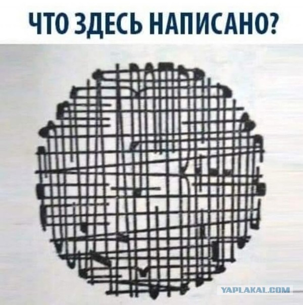 Юмор и прикольные картинки