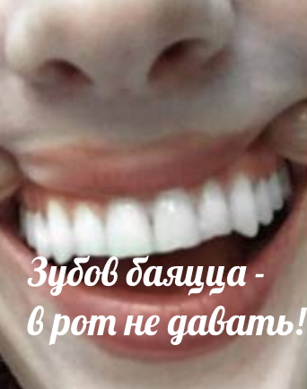 Давно не было солянки из картинок