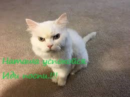 Так себе картинки 04.02.21