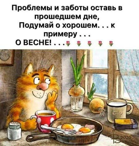 Всех кошатников с Праздником!