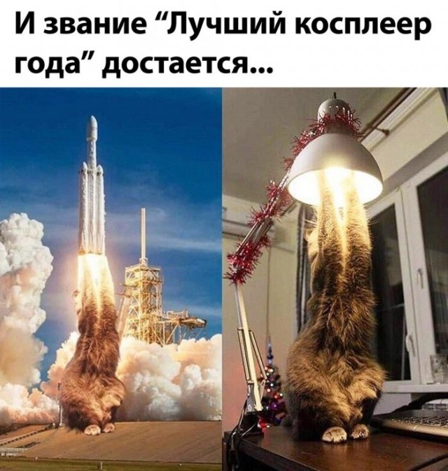 Картинки и мемы для настроения 003