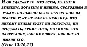 Власти внесут законопроекты о QR-кодах в транспорте, кафе и магазинах