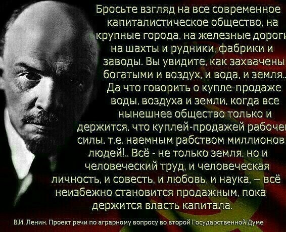 Трудно быть лохом