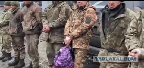 Украинцы продолжают сдаваться