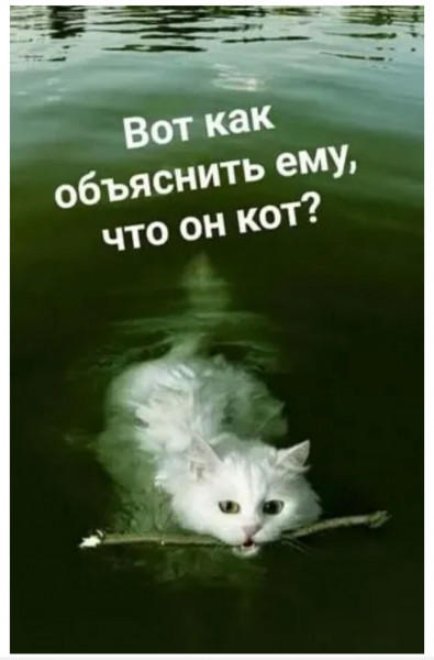 16530325.jpg