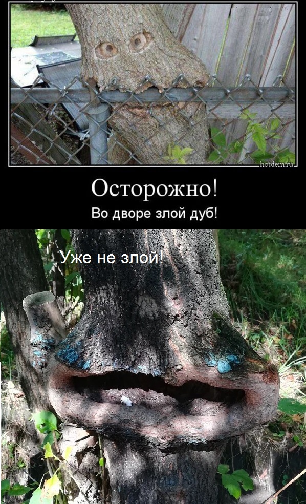 Пятница. Вечер. Картинки всякие... #4