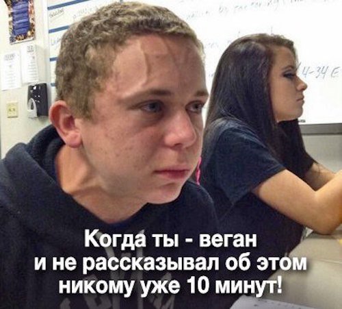 Так себе картинки 02.06.22
