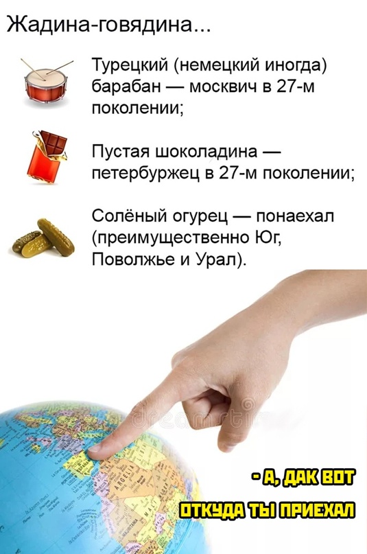 Весёлый полтишок 08.07.22