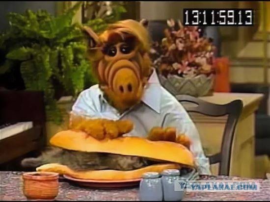 Актёры сериала Альф. Тогда и сейчас