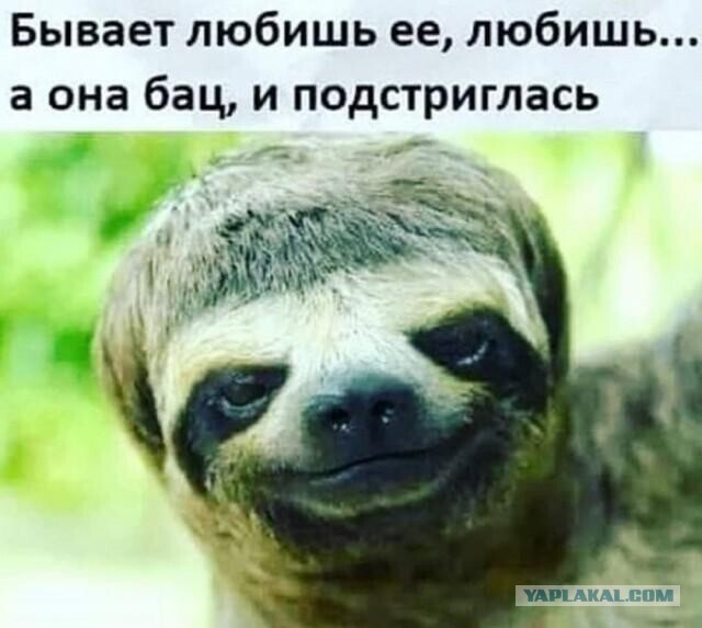 Так себе картинки 30.08.22