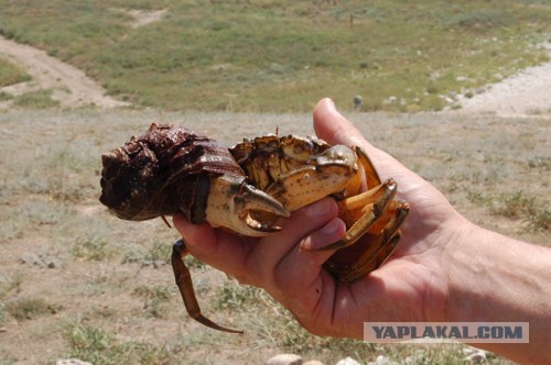 Мыс Тарханкут - самая западная точка Крыма.