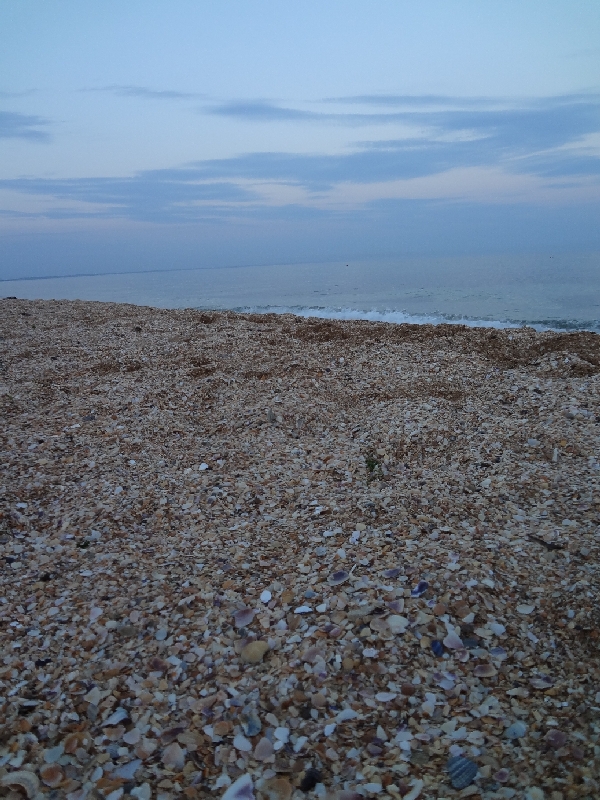 Впервые в Крыму