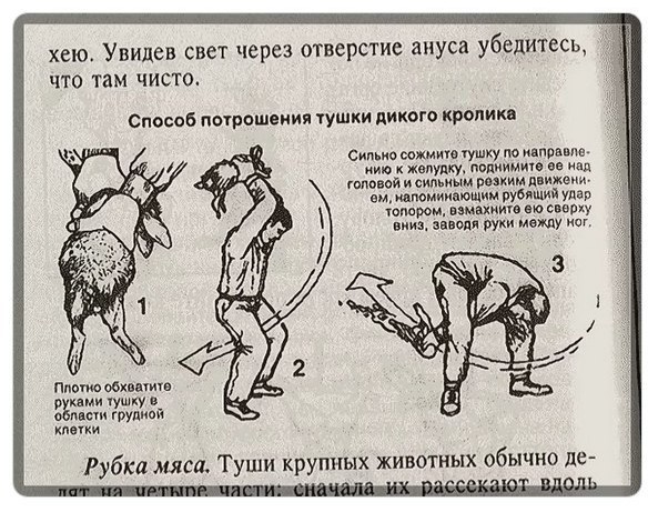 Народная меДИЧина 13.10