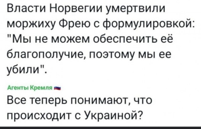 1300 терминалов Starlink отключились в зоне боевых действий в Украине из-за проблем с финансированием. Об этом сообщает CNN