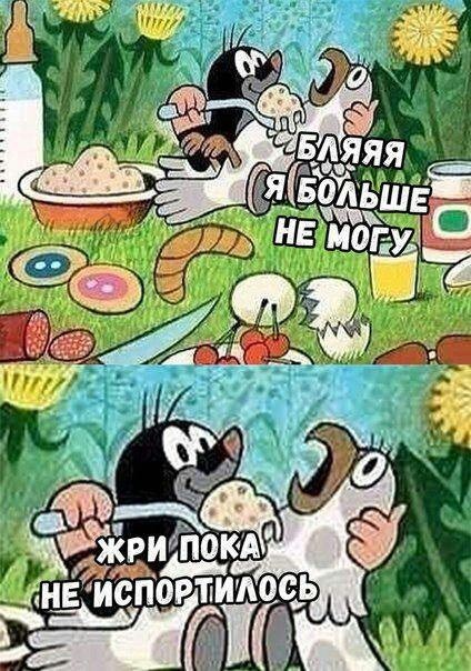 Прикольные и просто красивые картинки 30.12.2022