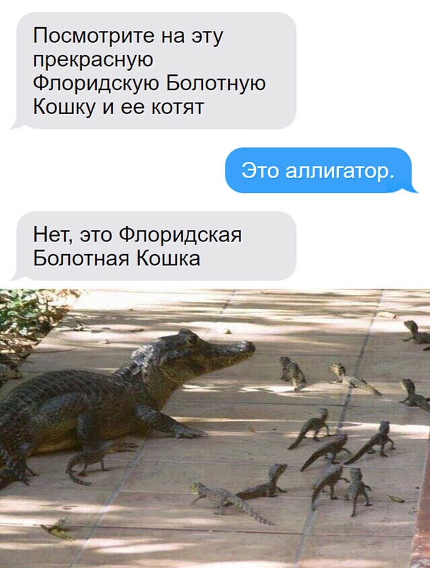 Картинки и мемы, всем хороших выходных